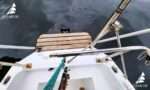 Veleiro Atoll 23 Reformado - Plataforma da poupa