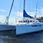 Catamarã Dolphin 43 - Barco